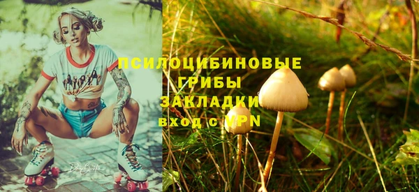 стафф Гусь-Хрустальный