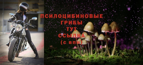 COCAINE Дмитриев
